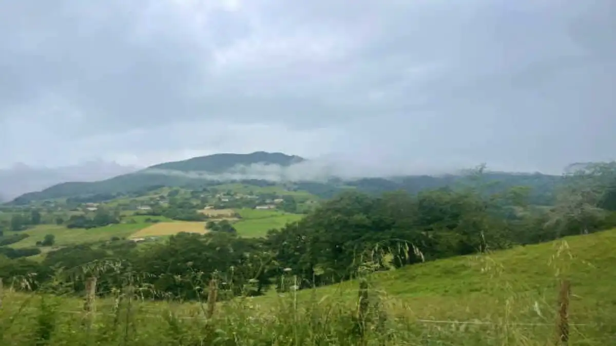 Terrenys i solars en venda a PIÑOLETA, PG. 137, imagen 5