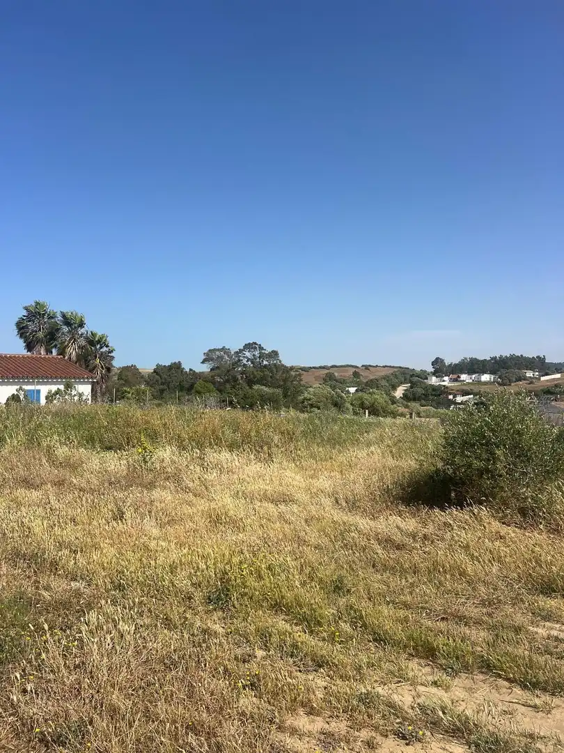 Terreno rustico in vendita a Barbate ciudad, imagen 6
