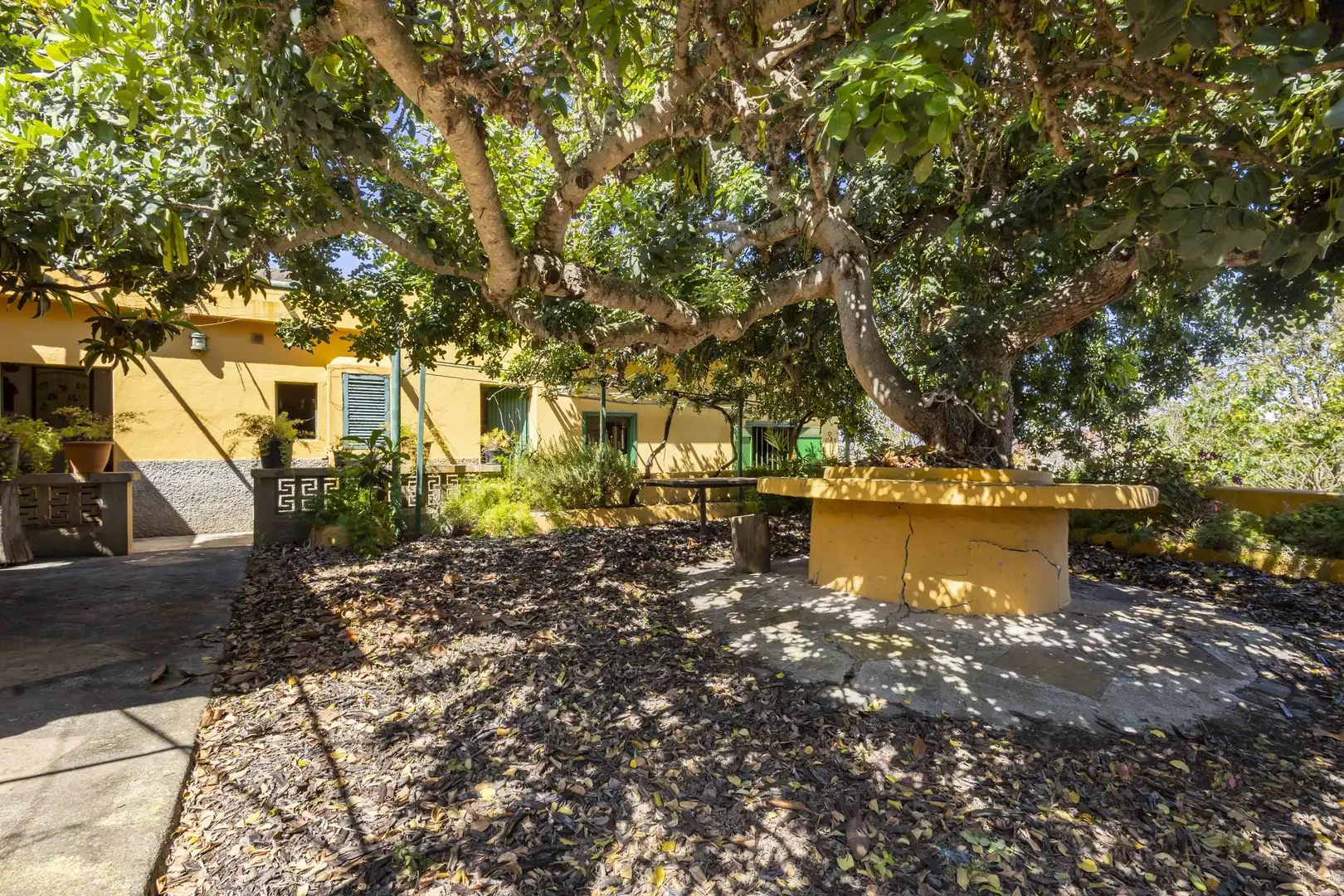 Garten von Haus oder Chalet zum Verkauf in San Cristóbal de la Laguna mit Privatgarten, Terrasse und Abstellraum