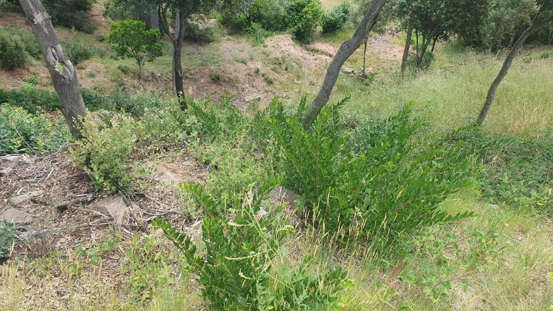 Residential for sale in Castellnou de Bages