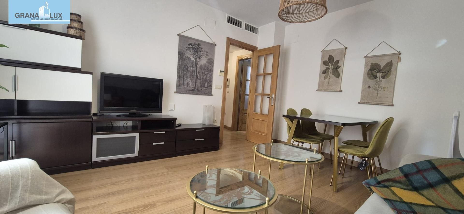 Sala d'estar de Pis de lloguer en  Granada Capital amb Aire condicionat i Calefacció