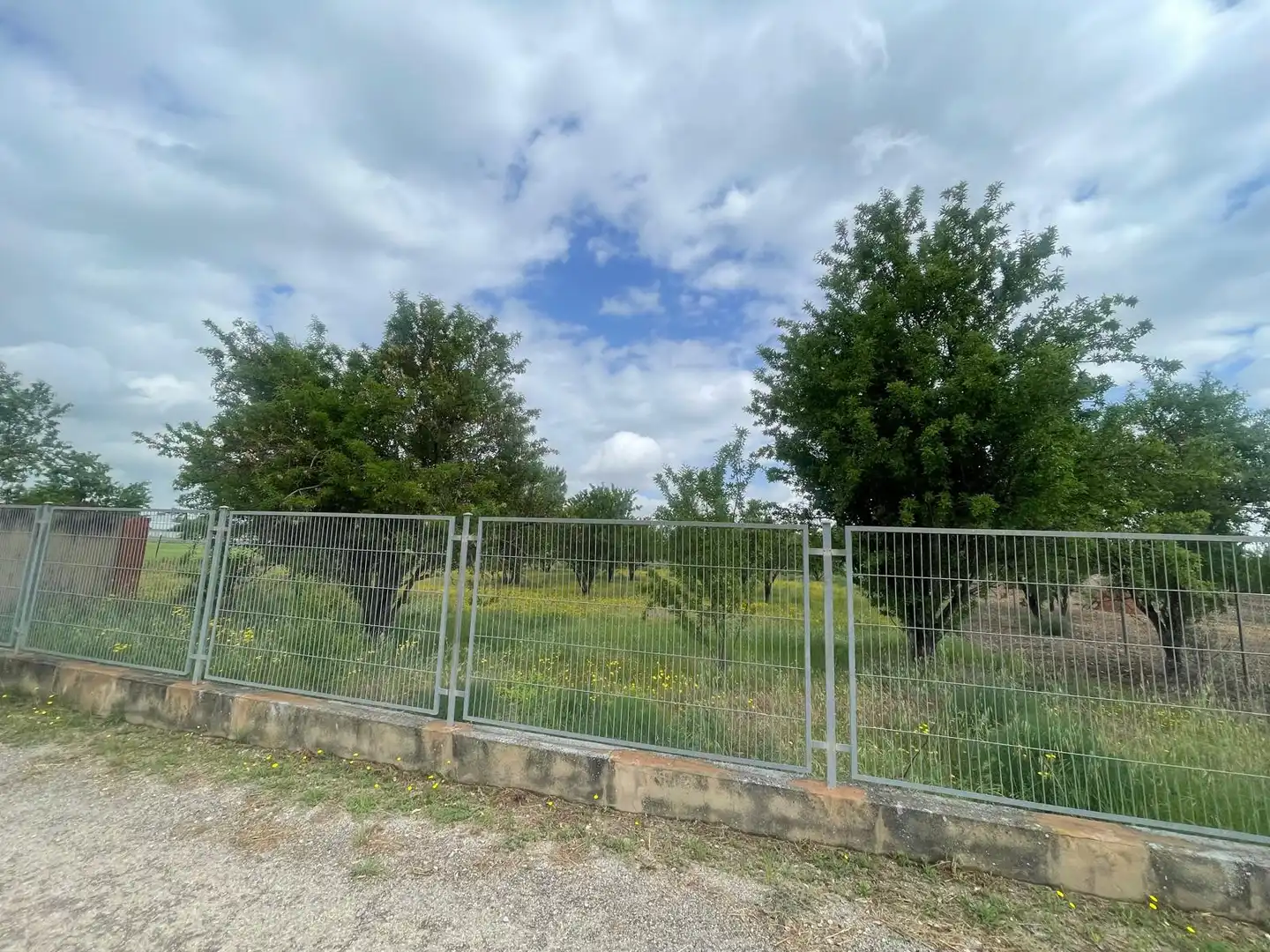 Terreny rústic en venda a Miguelturra, imagen 7