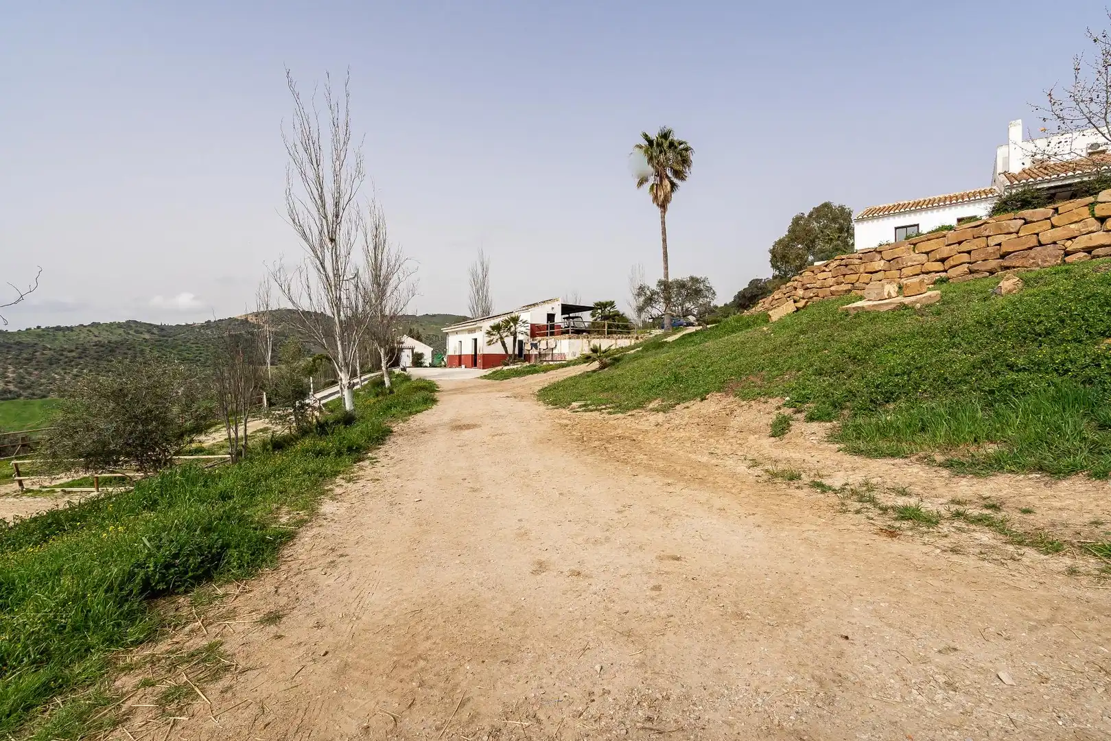 Vista exterior de Finca rústica en venta en Villanueva de la Concepción con Terraza, Piscina y Amueblado