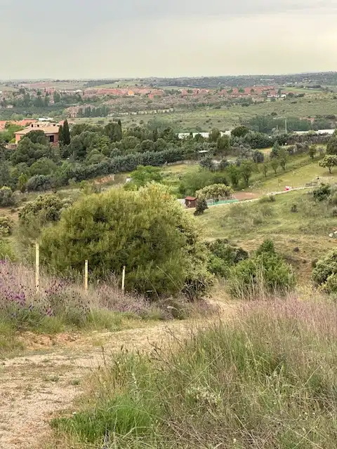 Grundstücke zum Verkauf in El Molar (Madrid)