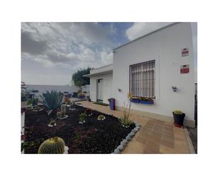 Garden of House or chalet for sale in San Miguel de Abona