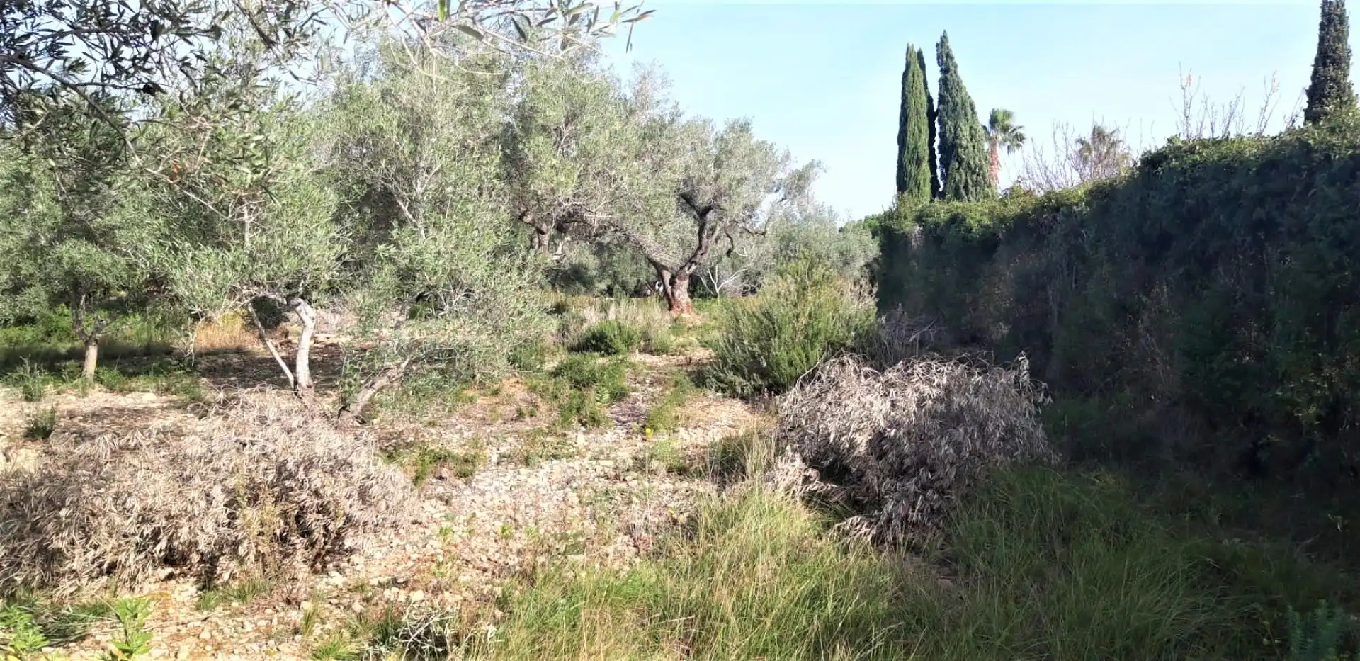 Terreny rústic en venda a Pueblo, imagen 3