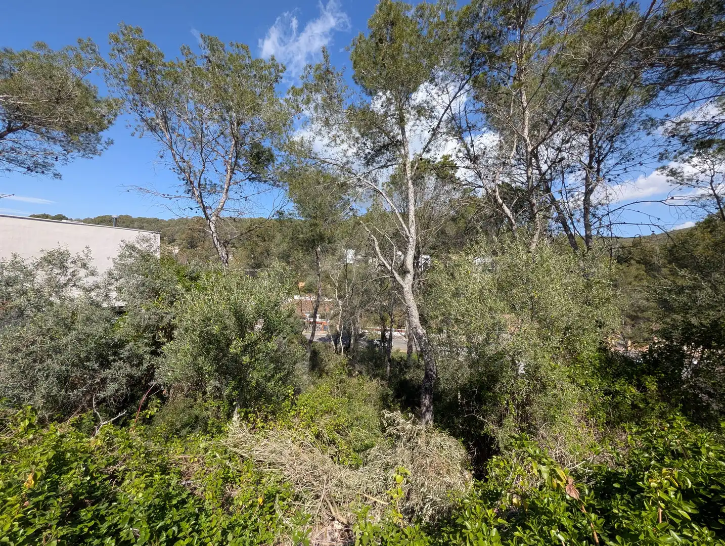 Residential land for sale in Carrer de les Torres, imagen 2