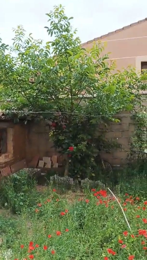 Garden of Country house for sale in Melgar de Fernamental  with Private garden and Furnished