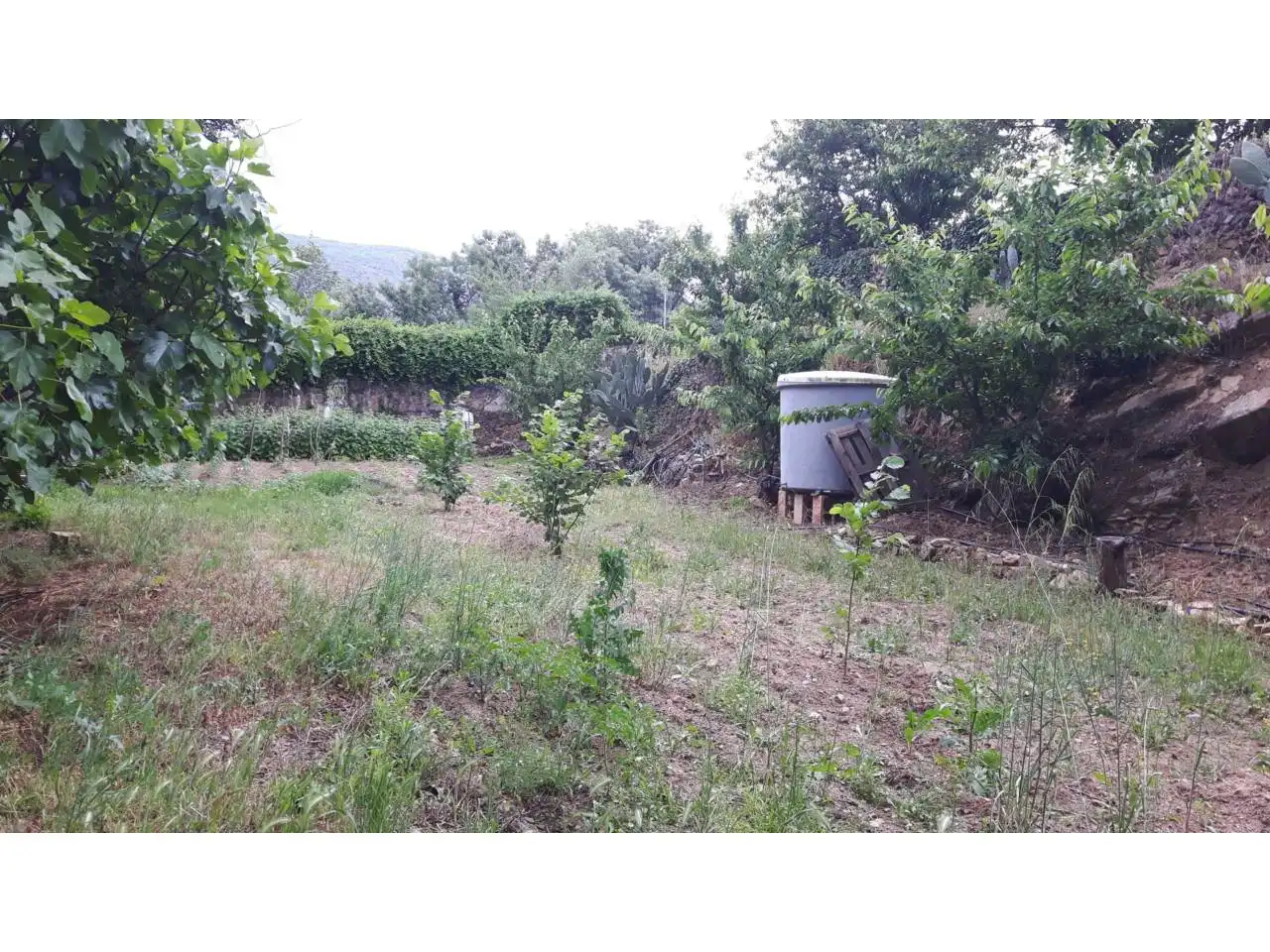 Chalet en venta en El Torno, imagen 23