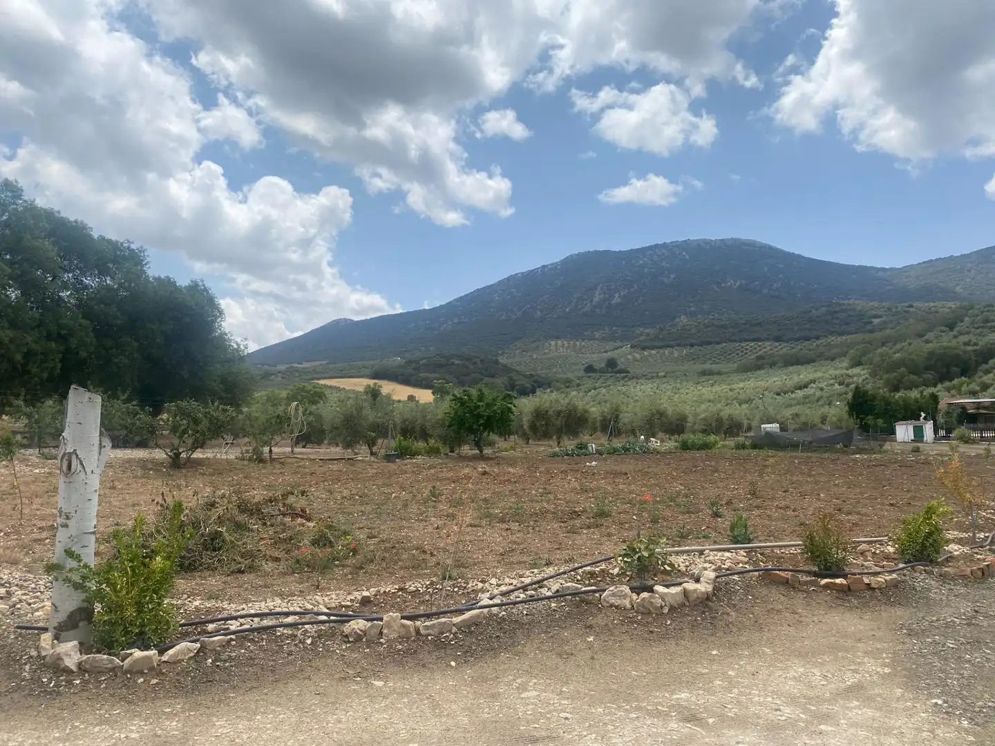 Casa rustica con piscina in vendita a Carretera Alcala km 12, imagen 23