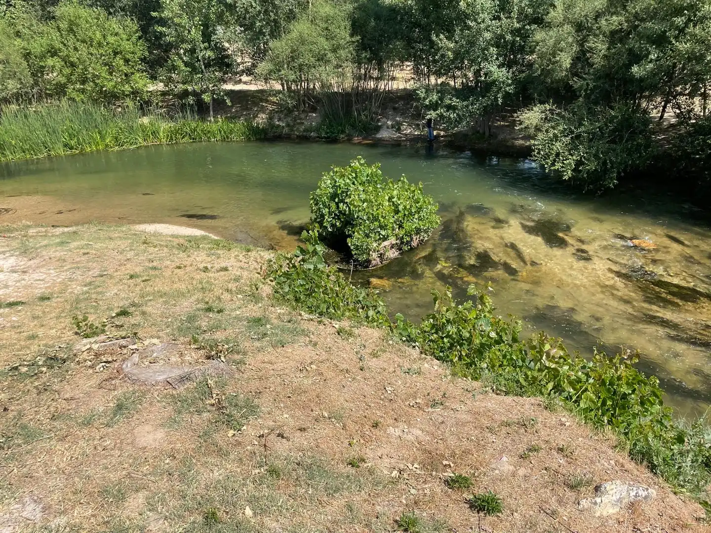 Swimming pool of Country homes for sale in Cobos de Fuentidueña  with Heating, Storage room and Furnished