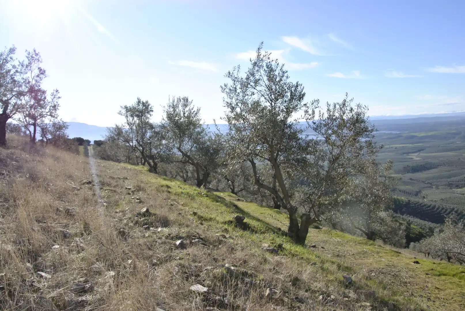 Terreno en venta en La Pesga 