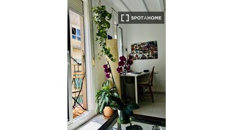 Photo 5 of Study to share in El Raval, Barcelona