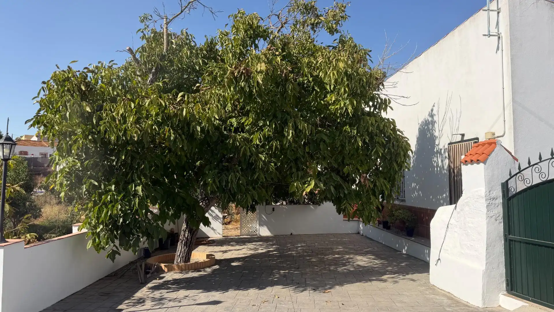 Vista exterior de Terreno en venta en Alosno