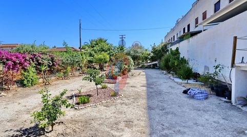 Foto 2 de Planta baja en venta en Avenida Almoradí, 39, Daya Nueva, Alicante