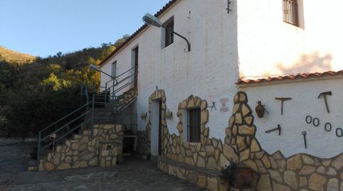 VENTA DE FINCA DE 115 HECTÁREAS CON CORTIJO EN BENIZALÓN, immagine 3