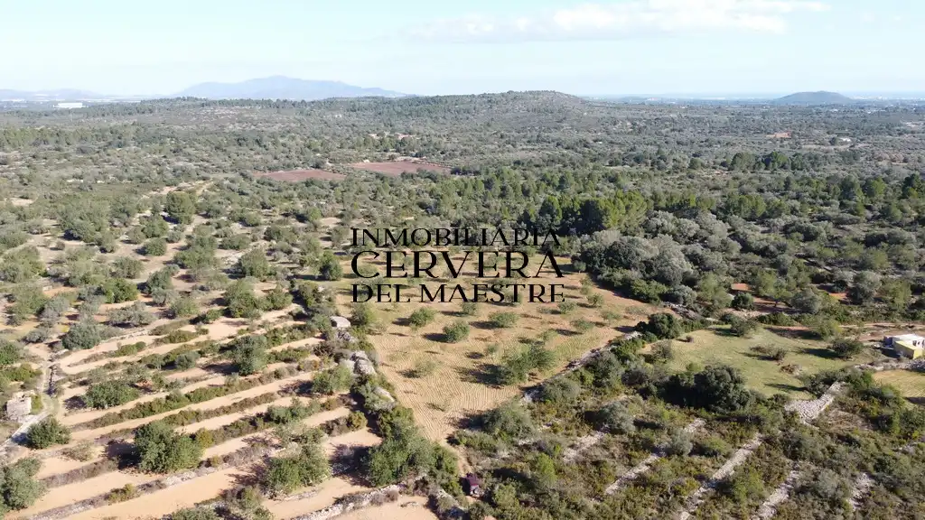 Terreno rustico in vendita a Cervera del Maestre, imagen 3