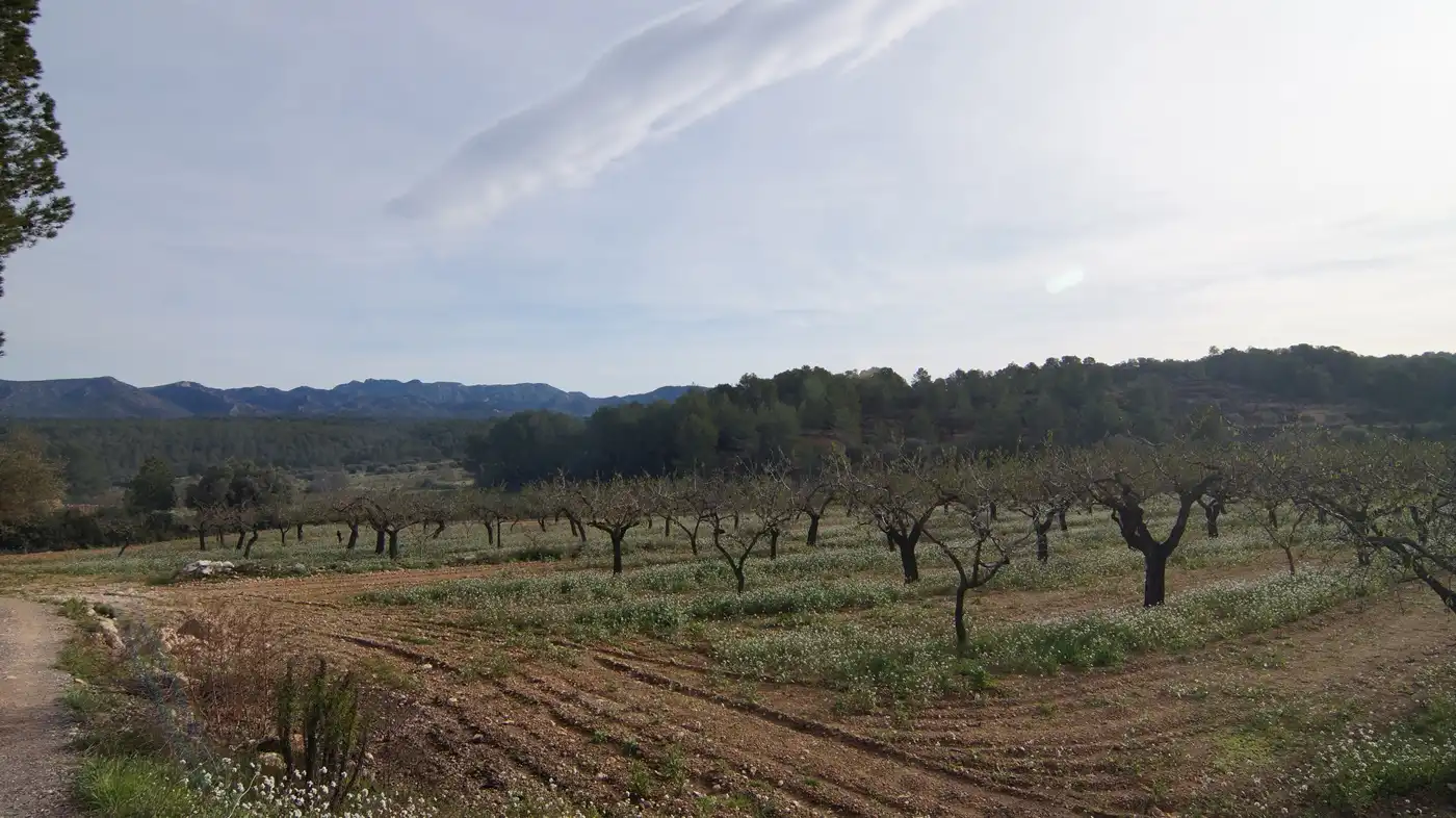 Terrain rustique à vendre à Rasquera, imagen 24