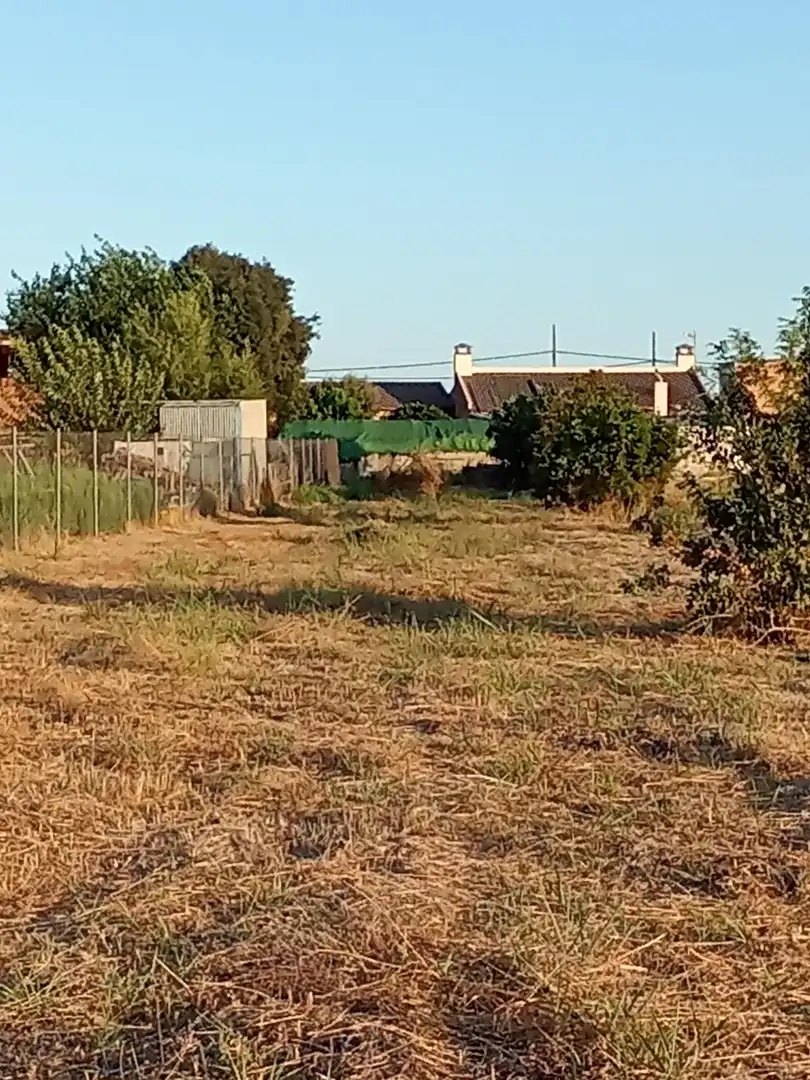 Land for sale in Almodóvar del Río