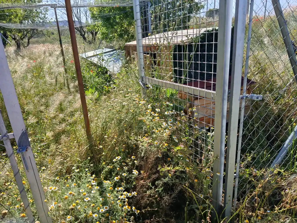 Jardín de Piso en venta en Teresa de Cofrentes