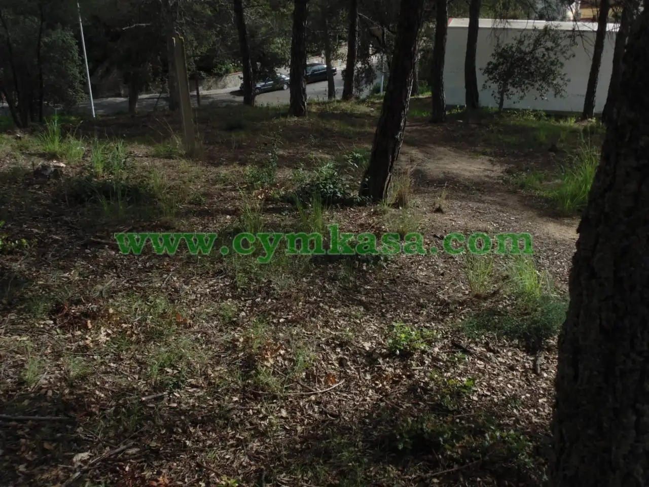 Terreno rustico in vendita a Tordera pueblo, imagen 3