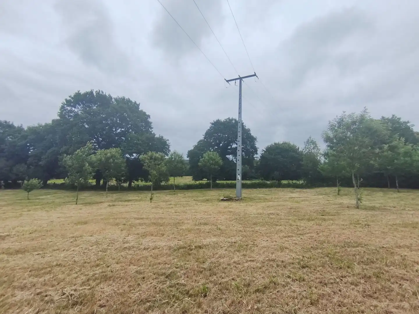 Residential for sale in Curtis