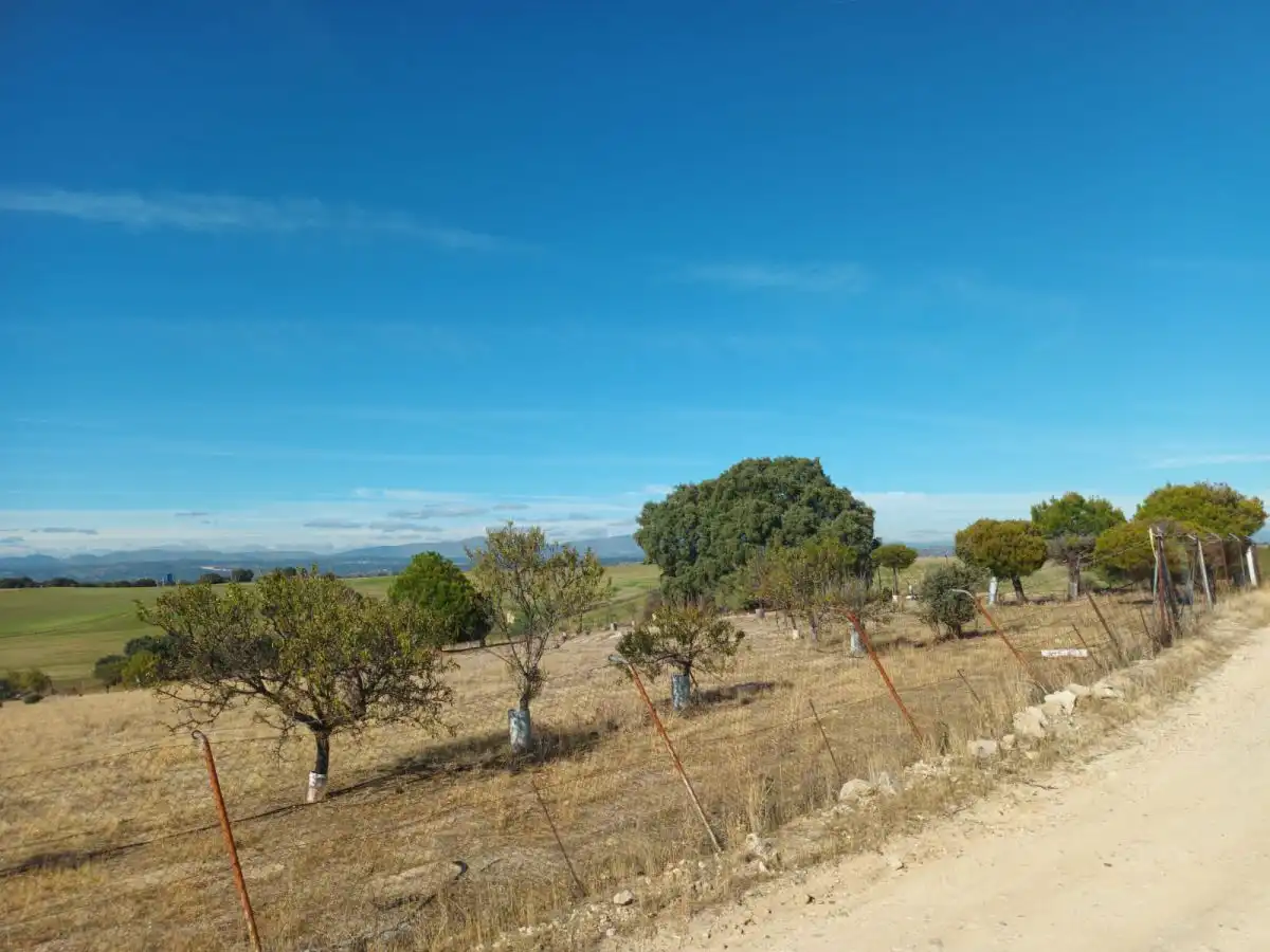 Finca rústica en venta en Brunete