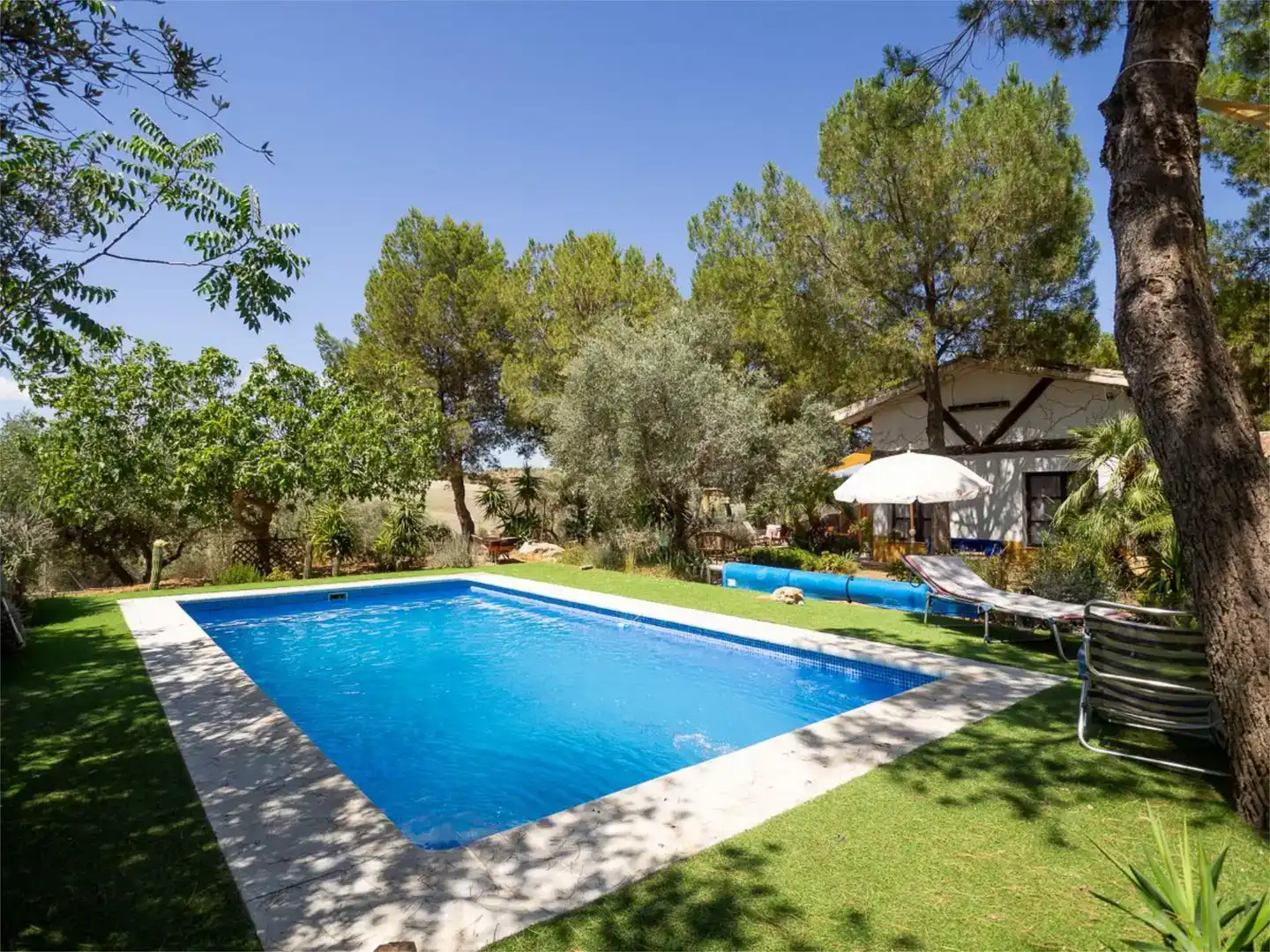 Piscina de Finca rústica en venda en Alhama de Granada amb Aire condicionat i Piscina