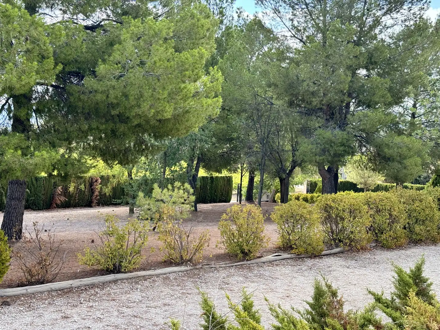 Jardí de Casa o xalet en venda en Caravaca de la Cruz amb Aire condicionat, Jardí privat i Traster