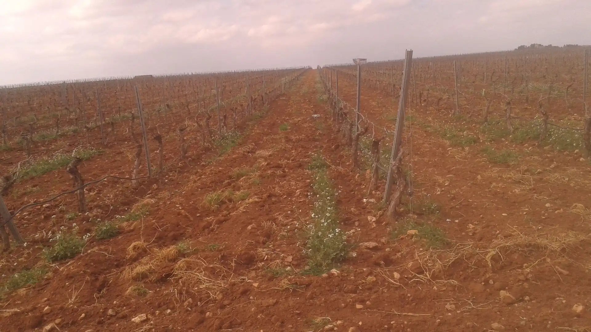 Terrenys i solars en venda a Las Mesas, imagen 10