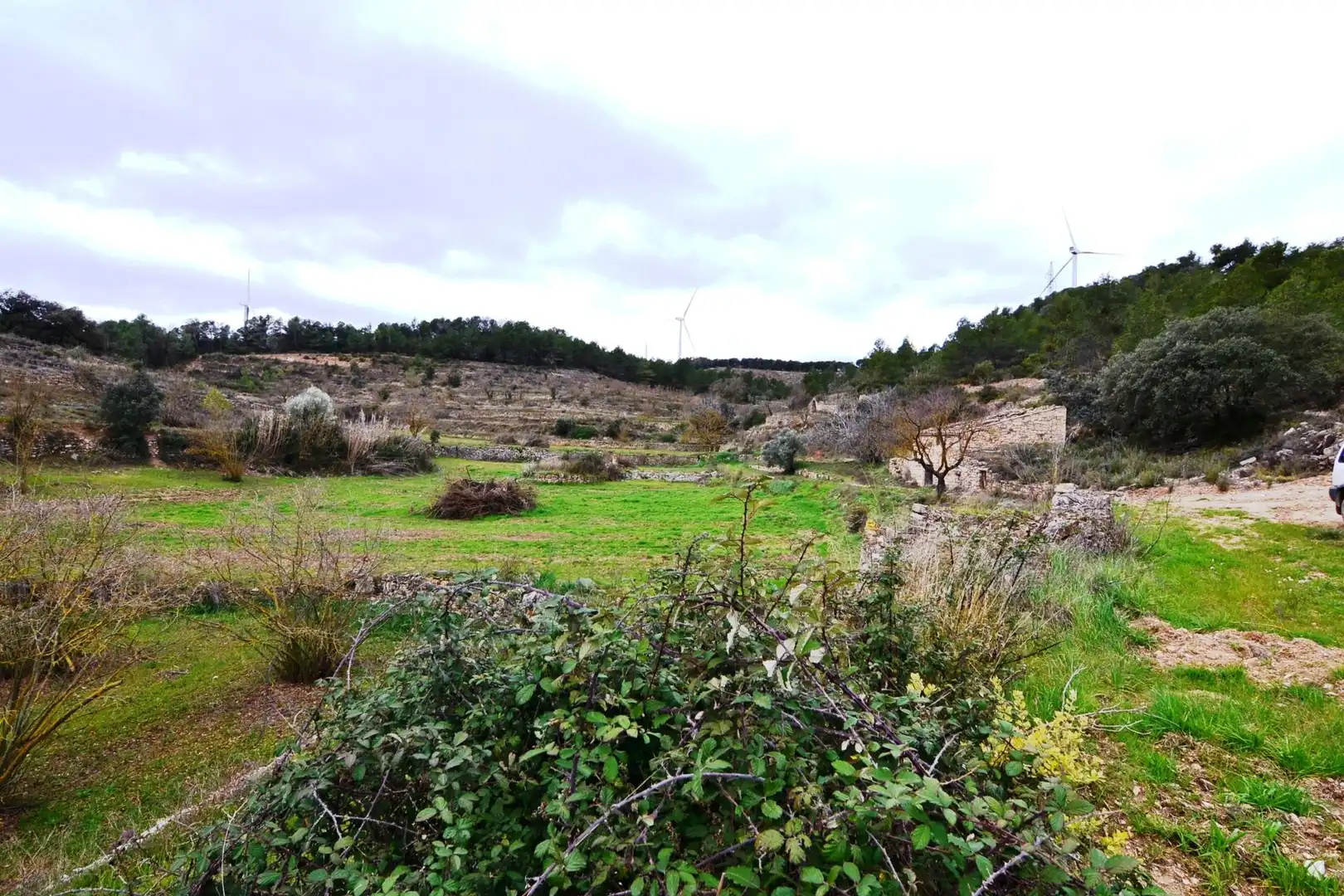 Terreno en venta en Vilalba dels Arcs