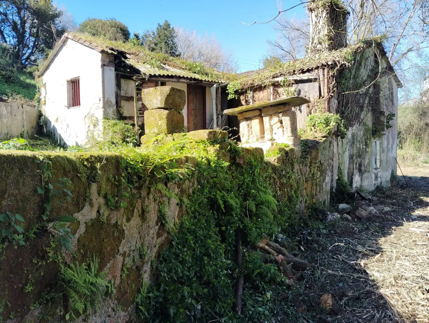Vista exterior de Casa o chalet en venta en Ferrol con Balcón