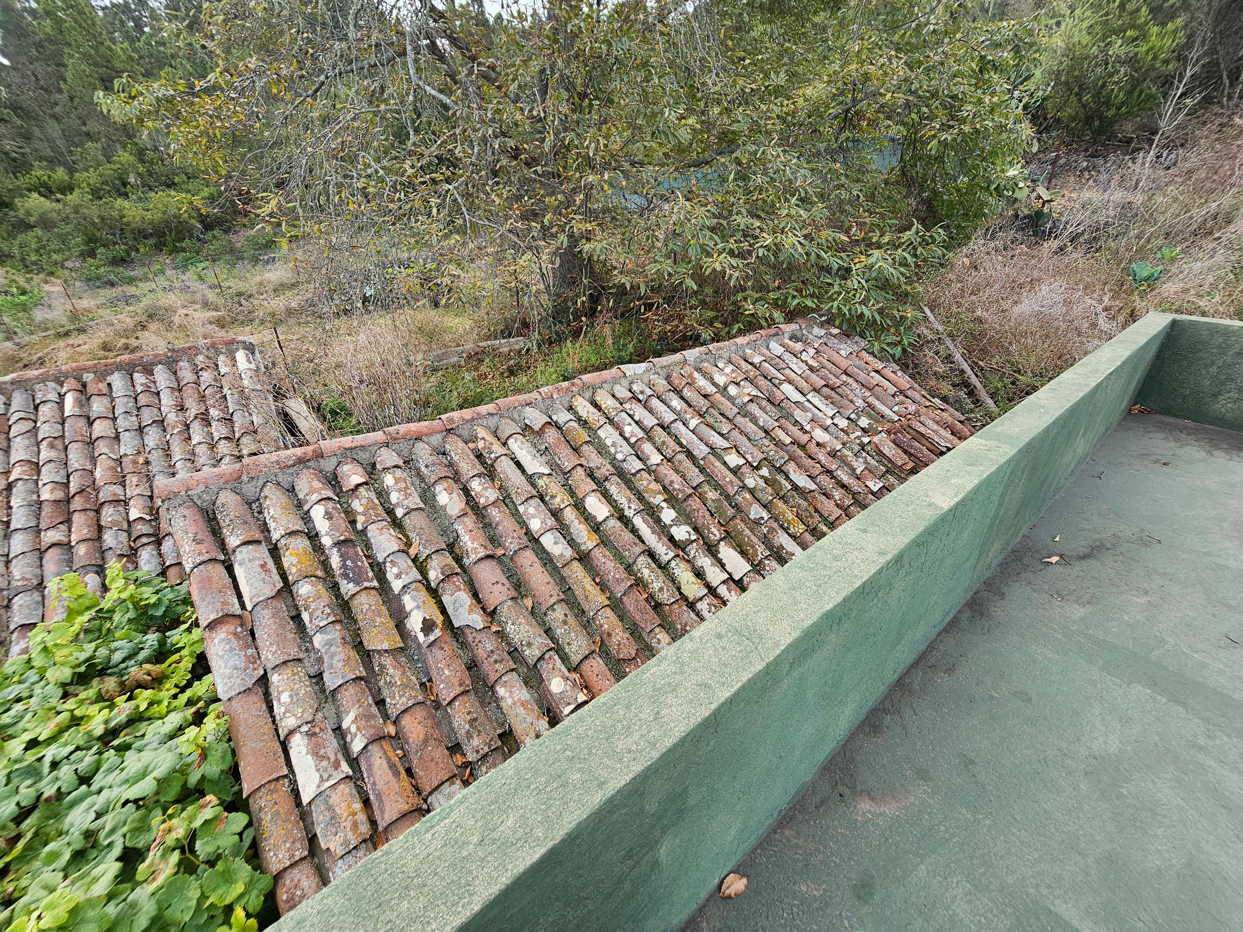 Exterior view of Country house for sale in Icod de los Vinos