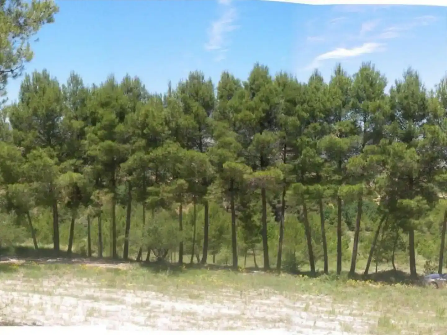 Land for sale in Planes