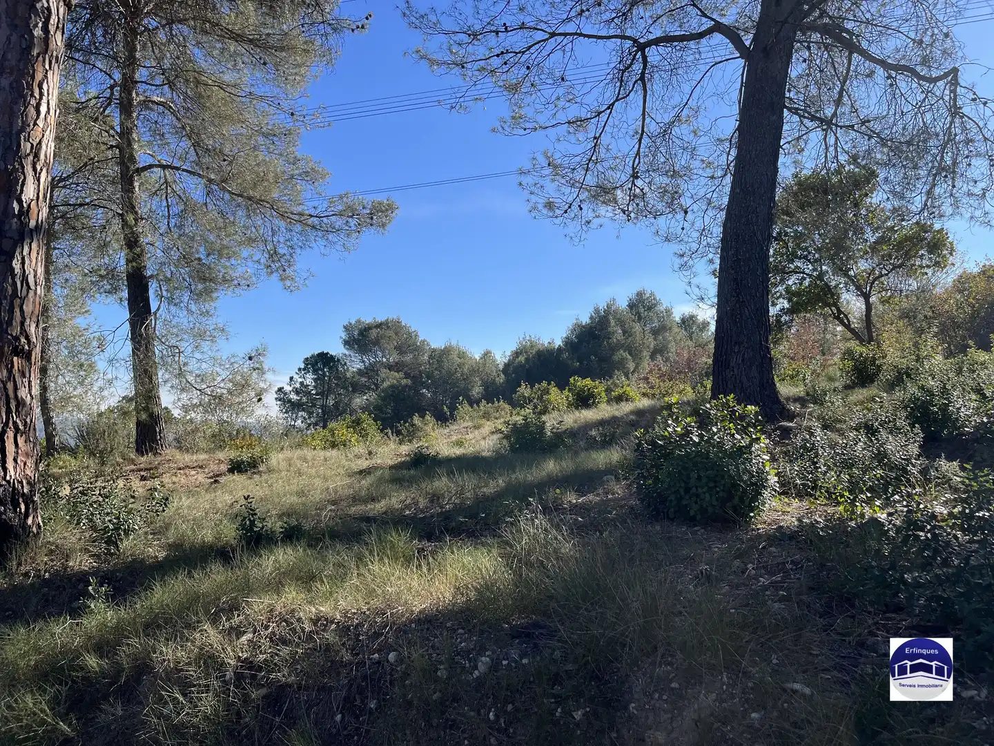 Terrain résidentiel à vendre à Carrer de Banyoles, imagen 5