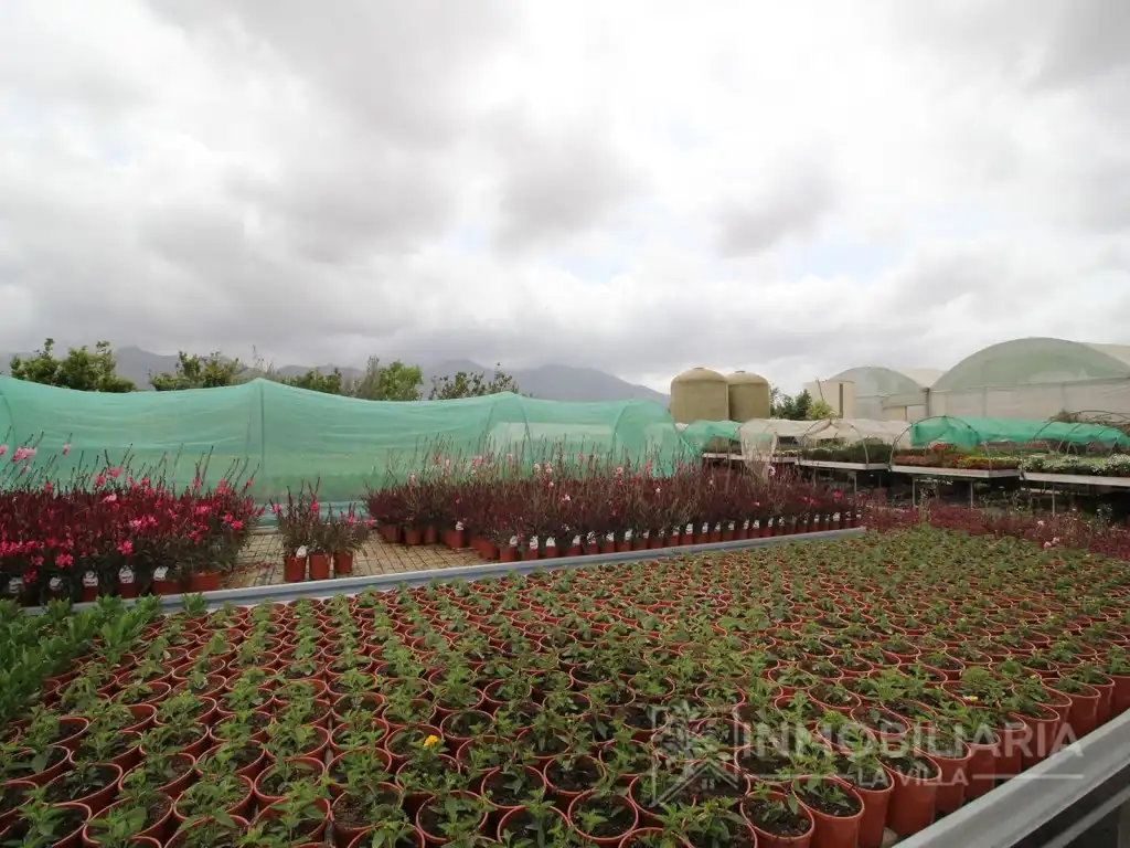 Garten von Fabrikhallen zum Verkauf in Alhaurín de la Torre