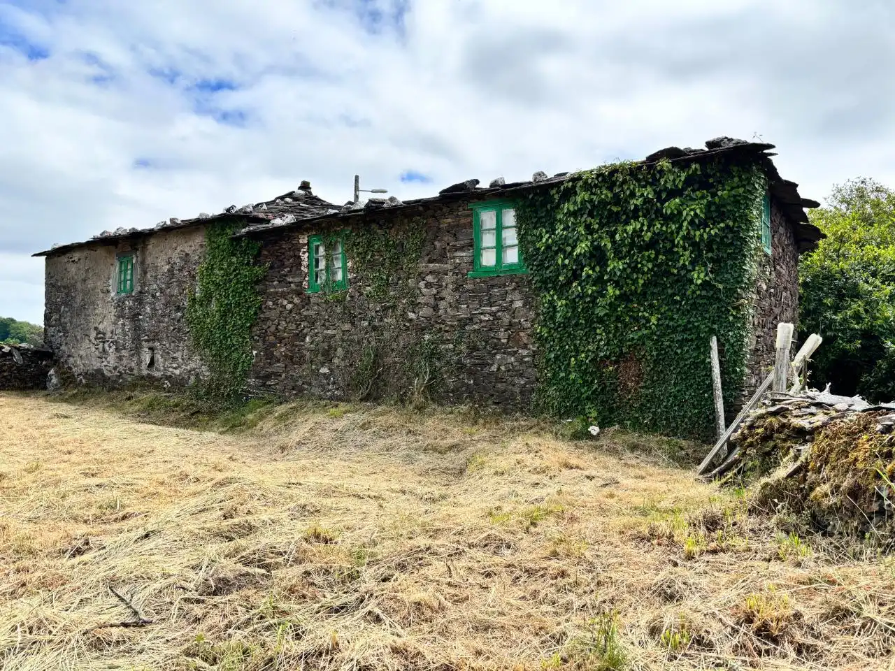 Casa amb piscina en venda a San Martín de Oscos, imagen 6
