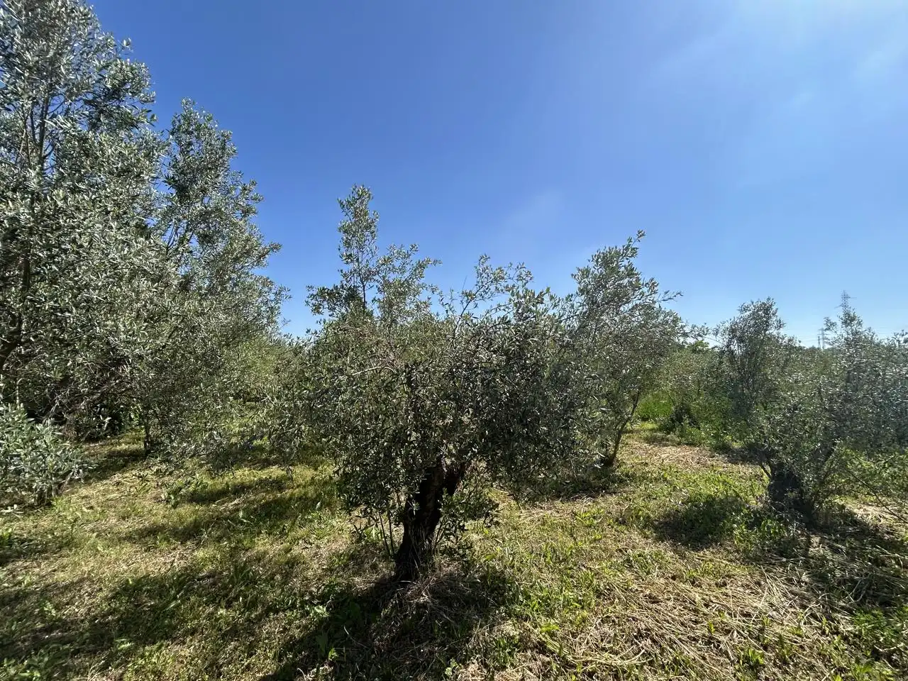 Finca rústica en venda en Tudela amb Piscina