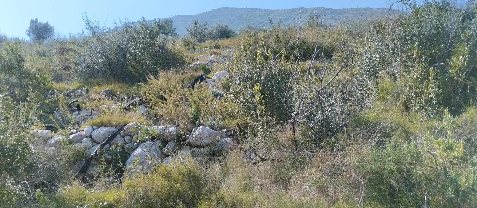 Rural land for sale in Pego, imagen 6