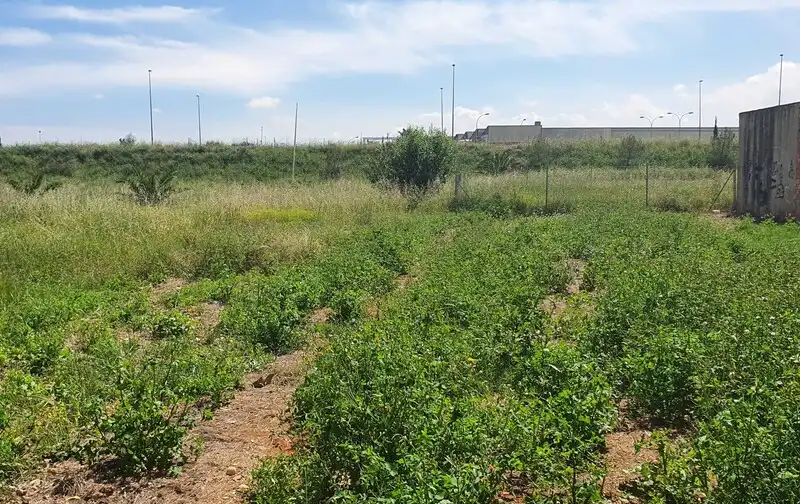 Terreno residencial en venta en TERRABONA PARCELA 109 y 108 del PL Nº 13, imagen 3