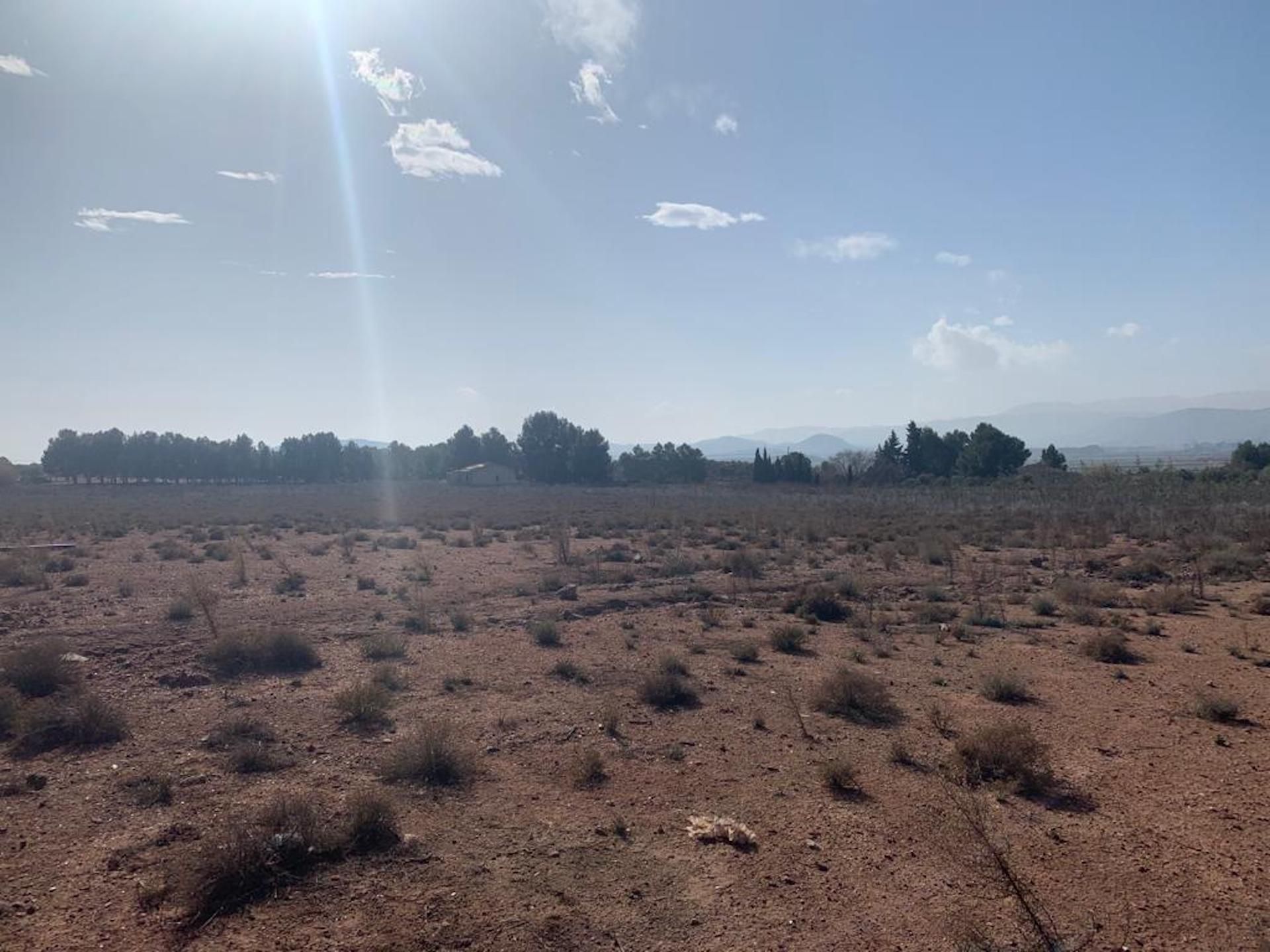 Casa o xalet en venda en Villena amb Jardí privat i Traster