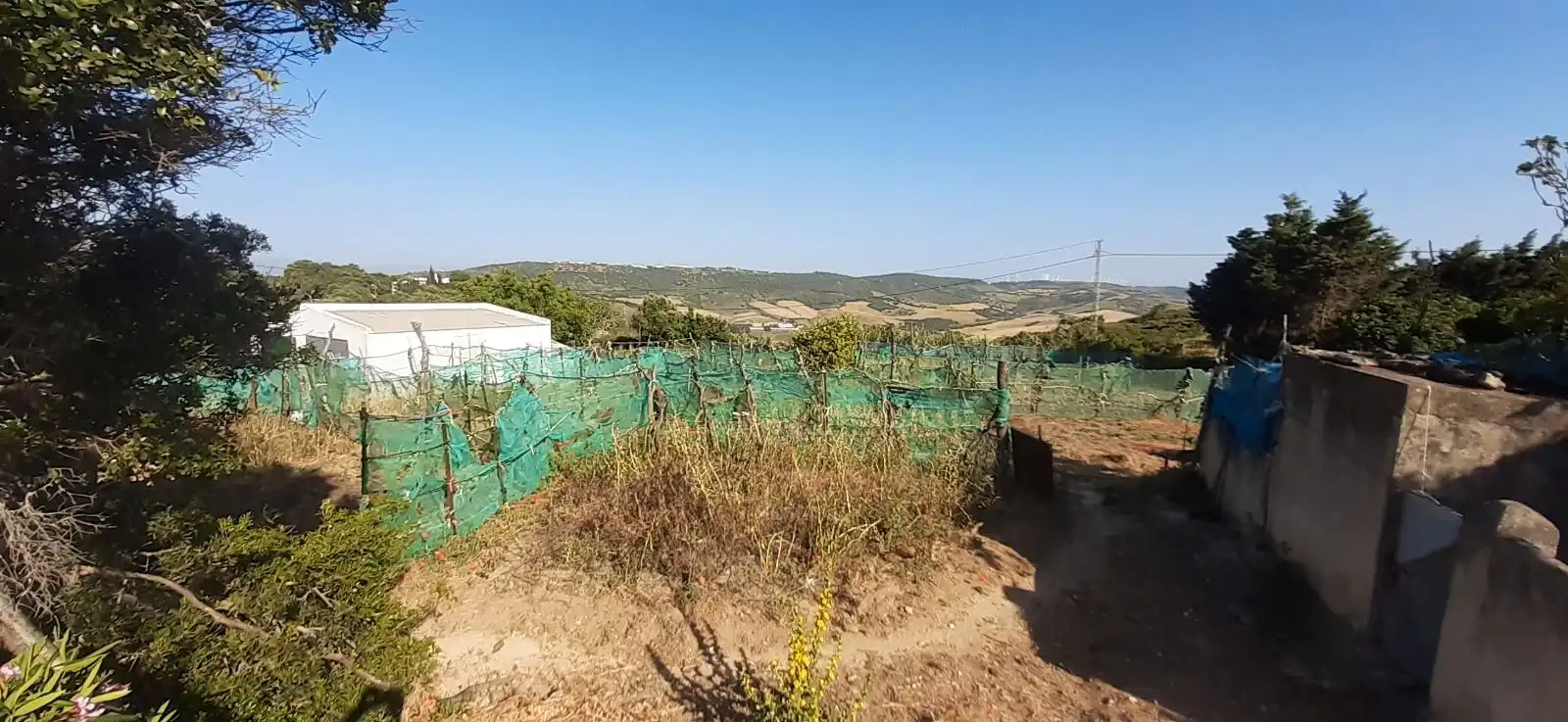 House with garden for sale in Camino Real, imagen 8