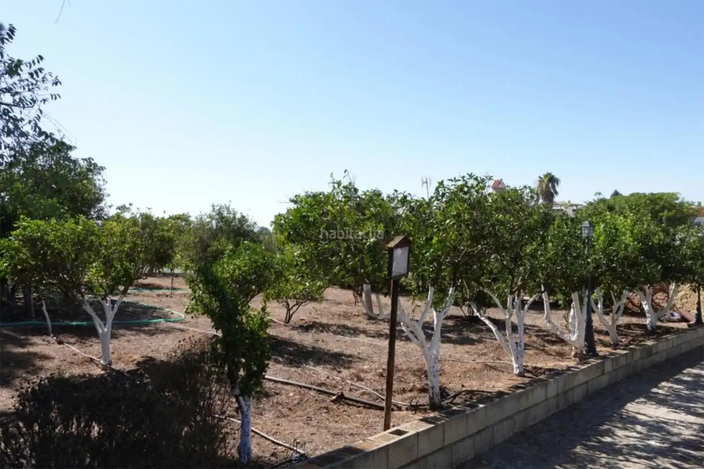 House for sale in Calle Paternilla 1, imagen 12