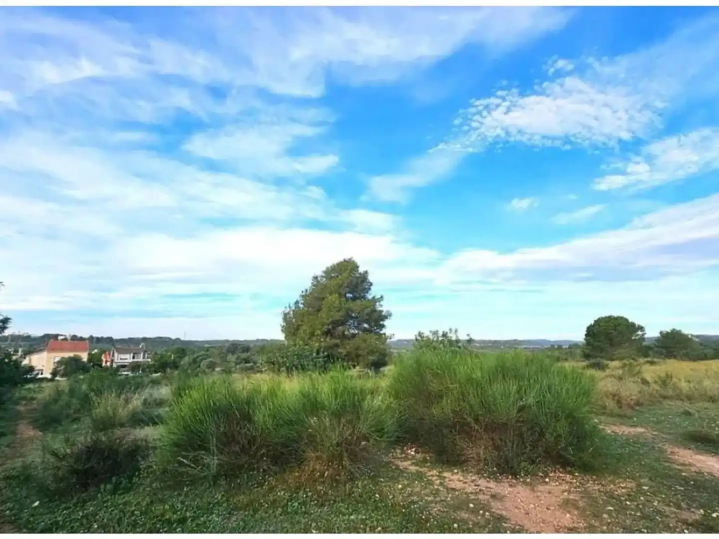 Rural land for sale in Calle de la Fonolleda, imagen 3