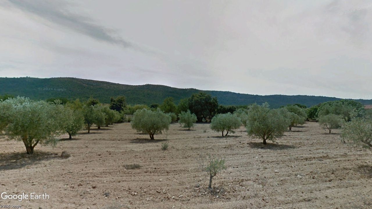 Grundstücke zum verkauf in Fontanars dels Alforins