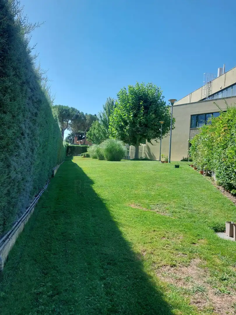 Jardín de Local en venta en Las Rozas de Madrid