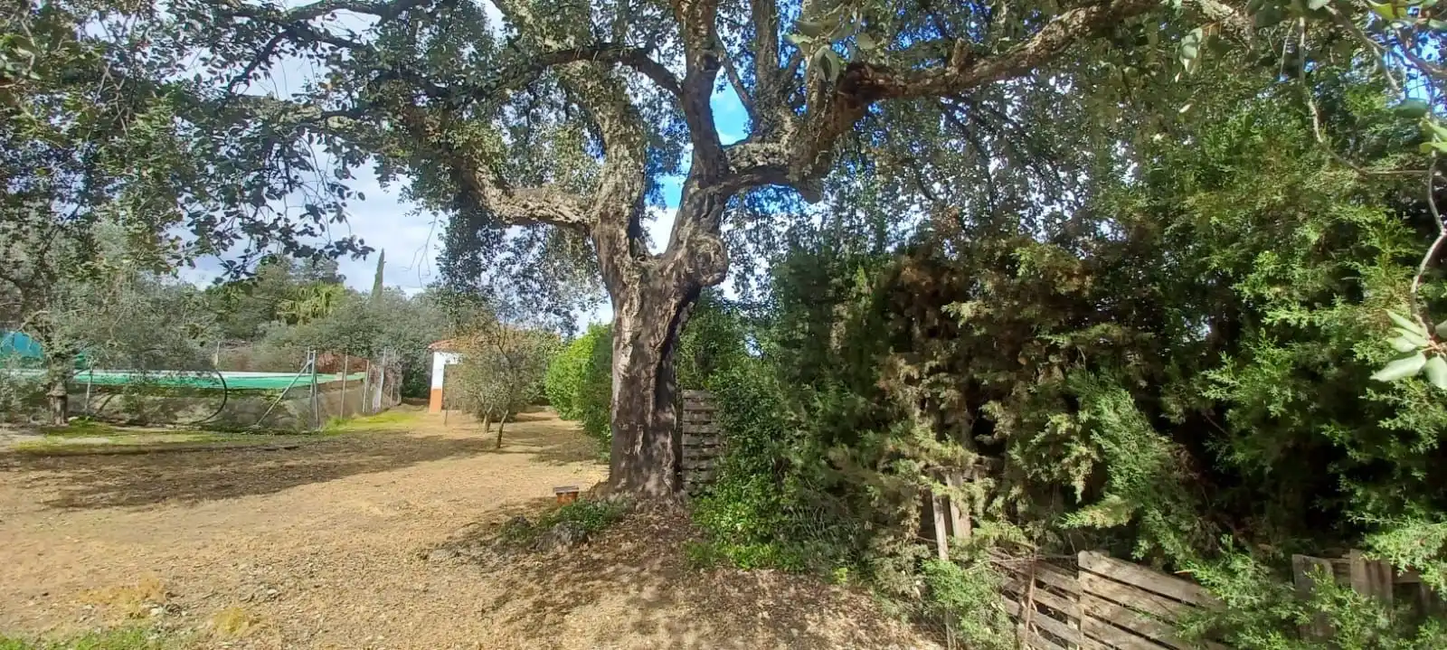 Haus zum Verkauf in Castilblanco de los Arroyos, imagen 34