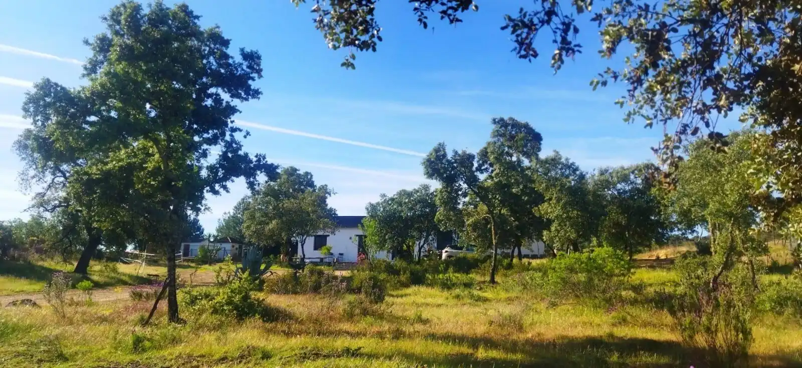 Finca rústica en venda a El Ronquillo