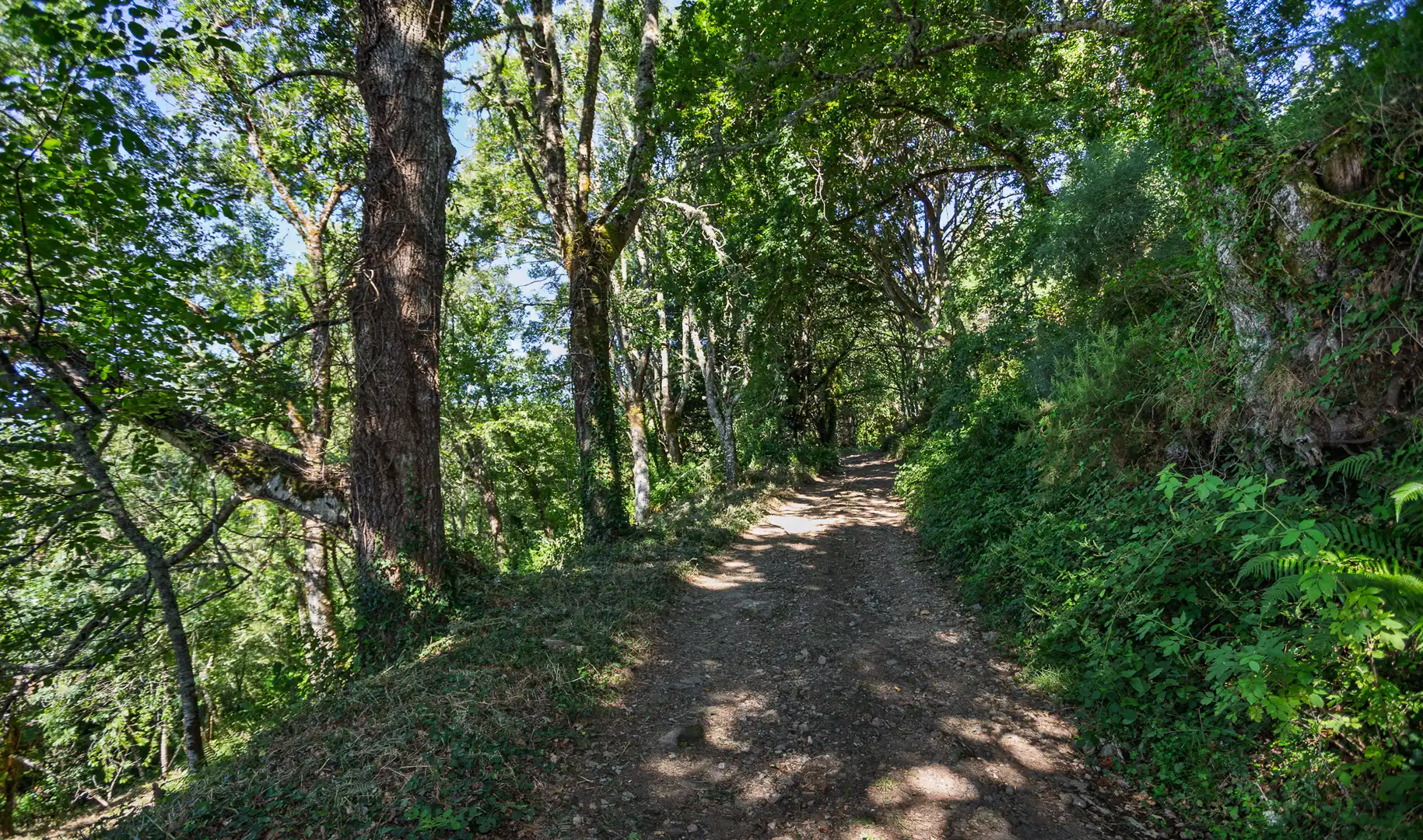 Vista exterior de Finca rústica en venda en Becerreá