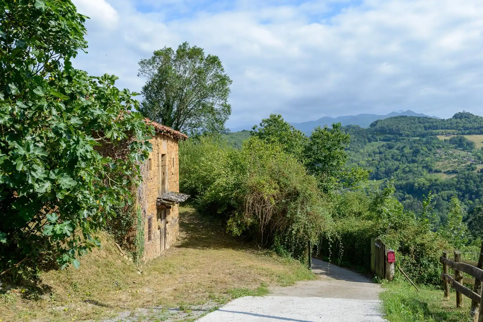 Vista exterior de Finca rústica en venda en Mieres (Asturias)